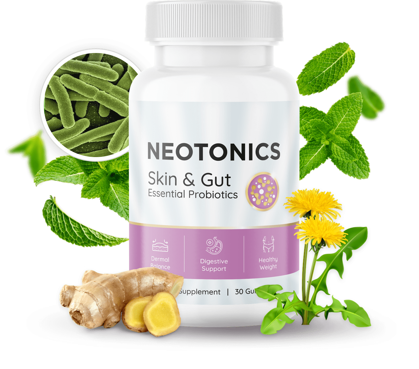 One bottle of Neotonics dietary supplement